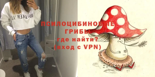 амф Абаза