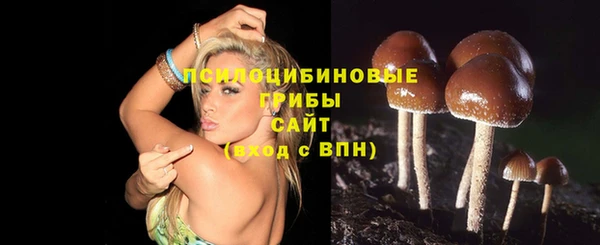 соль ск Абдулино
