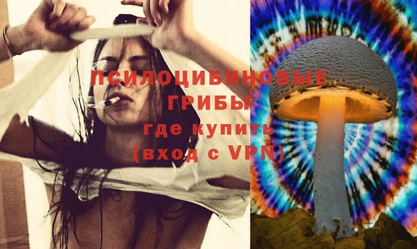 2c-b Абинск